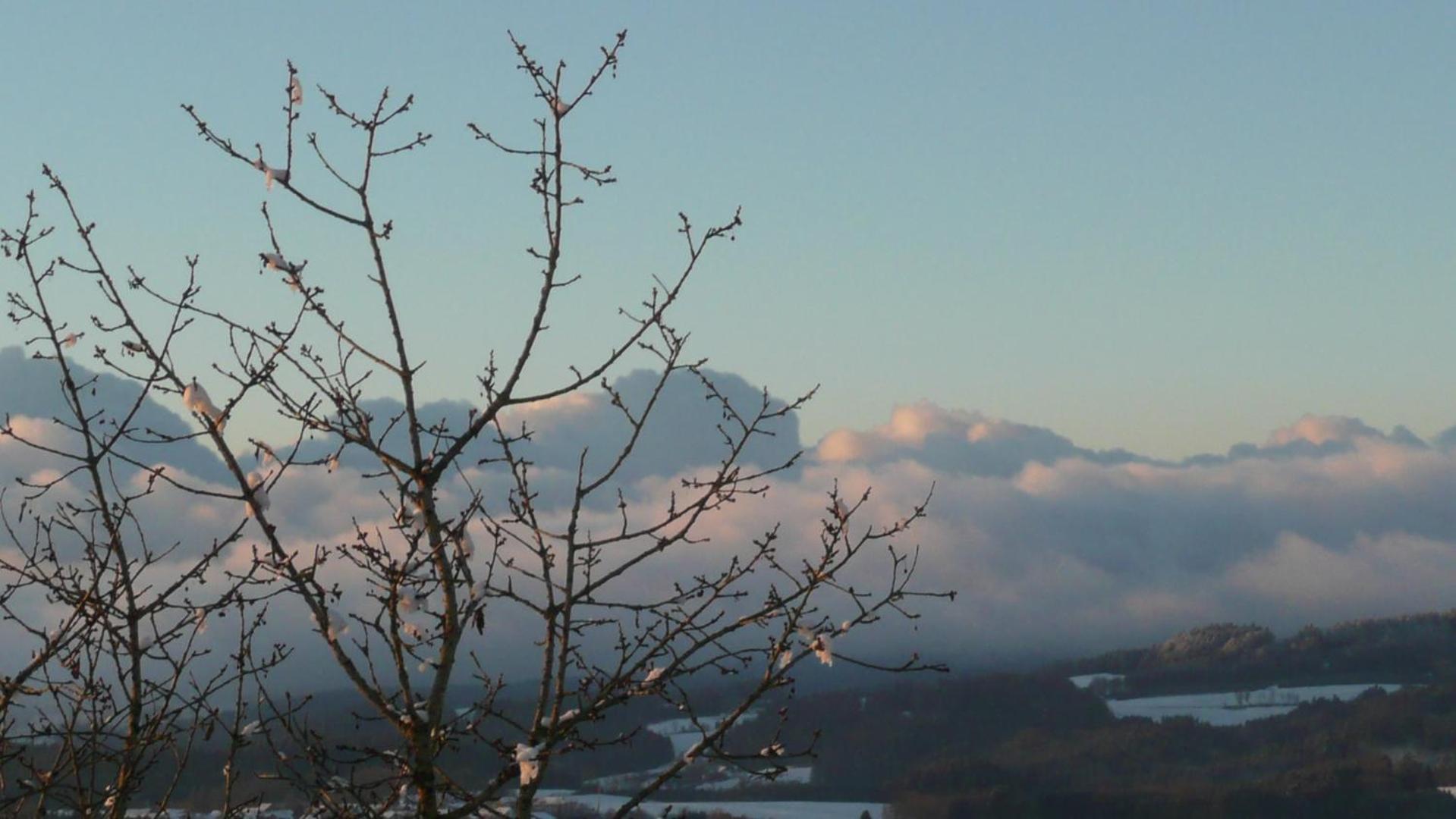 Ferienwohnungen Alpenblick Mit Garten -Panoramasauna- Kirchdorf im Wald Esterno foto